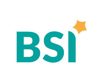 bsi-optimized